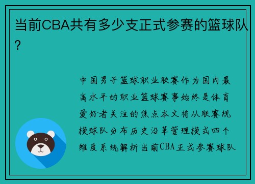 当前CBA共有多少支正式参赛的篮球队？