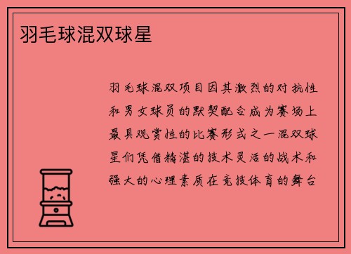 羽毛球混双球星